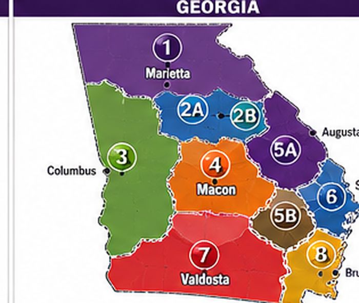 Georgia MSP Regional Structure Map